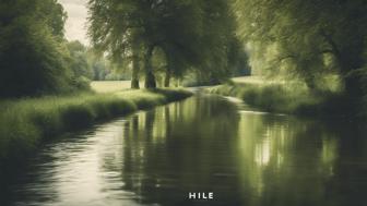 Ihle Bedeutung: Definition, Herkunft und alles, was du wissen musst